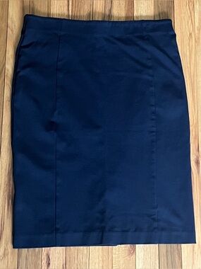 Ann Taylor Blue Pencil Skirt Sz 10